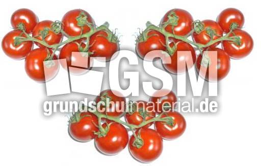 Tomaten-3x7.jpg